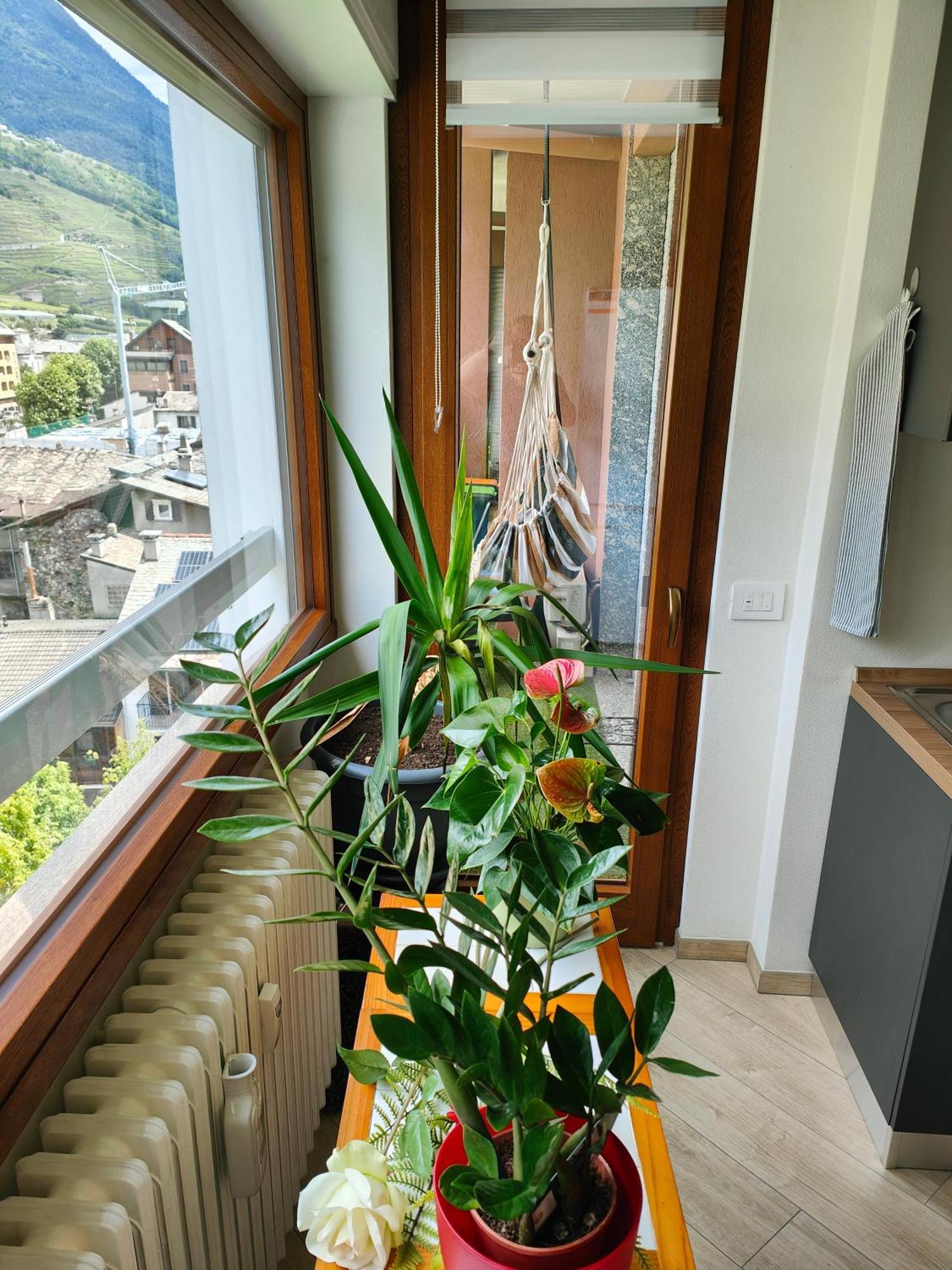 Alfiume B Apartment Tirano Exterior photo